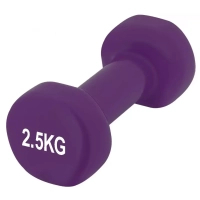 Photos - Barbells & Dumbbells PowerPlay Гантель  4125 Achilles 2.5 кг Фіолетова  PP41252.5kg (PP41252.5kg)