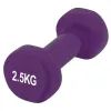 Гантель PowerPlay 4125 Achilles 2.5 кг Фіолетова (PP_4125_2.5kg)