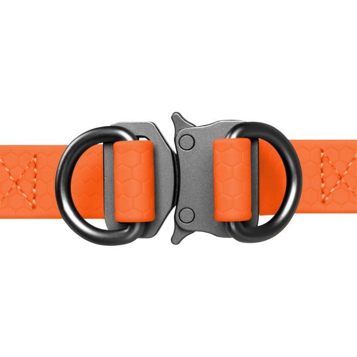 Шлея для собак WAUDOG Waterproof з QR-паспортом М Ш 20 мм Д 50-80 см блакитна (27652) зображення 2