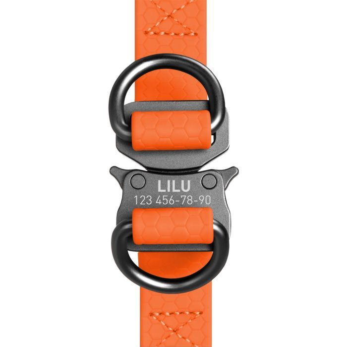 Шлея для собак WAUDOG Waterproof з QR-паспортом М Ш 20 мм Д 50-80 см блакитна (27652) зображення 3