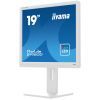 Монитор iiyama B1980D-W5 изображение 6