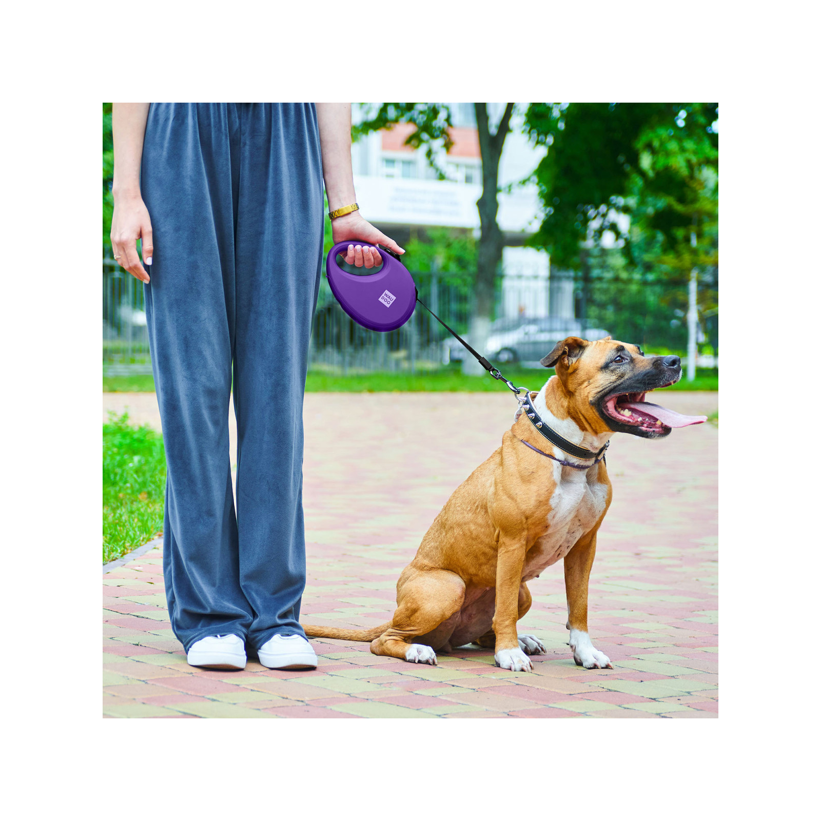 Повідок для собак WAUDOG R-leash з контейнером для пакетів S до 12 кг 3 м рожевий (26277) зображення 6