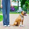 Повідець для собак WAUDOG R-leash з контейнером для пакетів S до 12 кг 3 м фіолетовий (26279) зображення 6