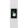 Кнопка виходу Greenvision GV-ВЕ-804P зображення 3