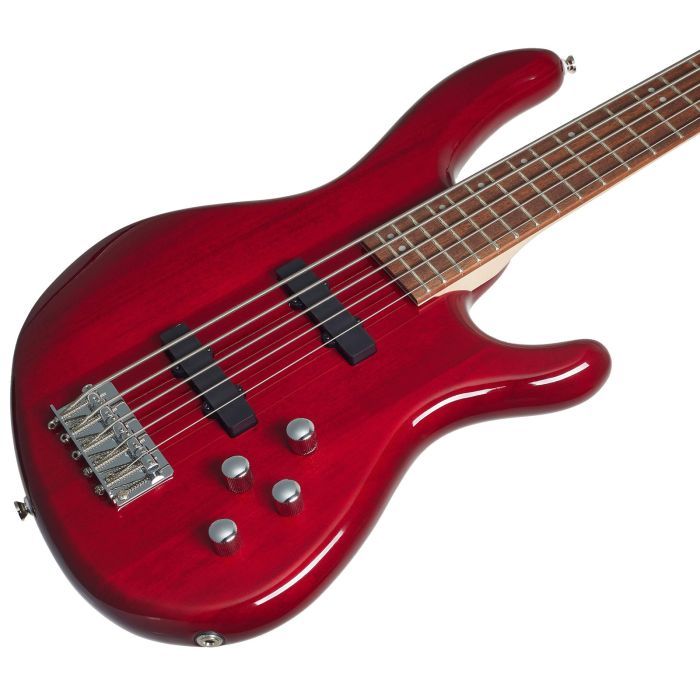 Бас-гитара Cort Action V Plus Black (Action Bass V Plus BK) изображение 2
