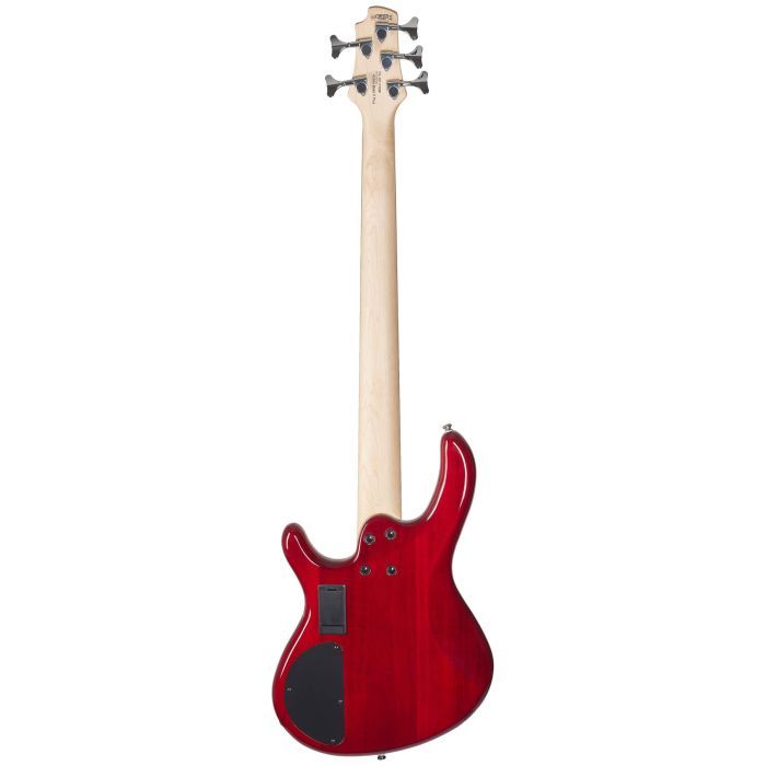 Бас-гитара Cort Action V Plus Black (Action Bass V Plus BK) изображение 3
