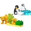 Конструктор LEGO DUPLO Town Сімейства диких тварин: Пінгвіни та Леви (10442) зображення 2