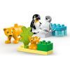 Конструктор LEGO DUPLO Town Сімейства диких тварин: Пінгвіни та Леви (10442) зображення 3