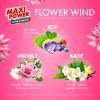 Капсулы для стирки Maxi Power Flower Wind 11 шт. (4823098414988) изображение 2