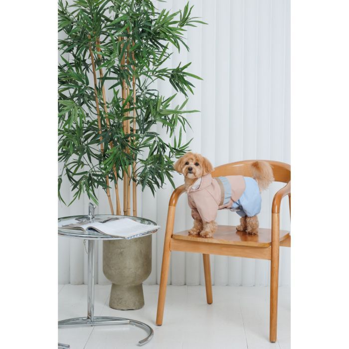 Дощовик для тварин Pet Fashion Tina М бежевий/блакитний (4823082435173) зображення 10