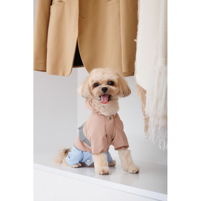 Дощовик для тварин Pet Fashion Tina М бежевий/блакитний (4823082435173) зображення 5