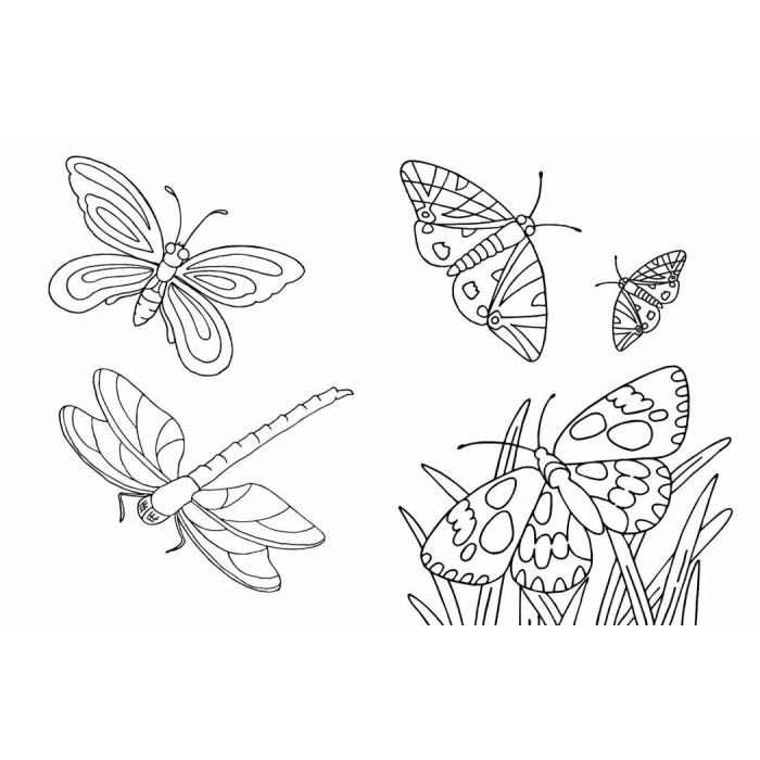 Книга Велика книга розмальовок. Тварини Ранок (9789667617622) зображення 3