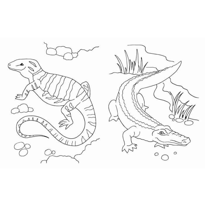 Книга Велика книга розмальовок. Тварини Ранок (9789667617622) зображення 4