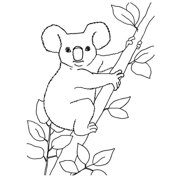 Книга Велика книга розмальовок. Тварини Ранок (9789667617622) зображення 5