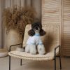 Футболка для тварин Pet Fashion Polo XXS (4823082446360) зображення 3