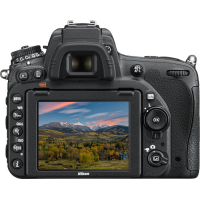 Цифровой фотоаппарат Nikon D750 24-120 Kit (VBA420K002) изображение 4
