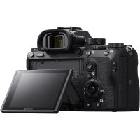 Цифровой фотоаппарат Sony Alpha 7R Mark 3 body black (ILCE7RM3B.CEC) изображение 8