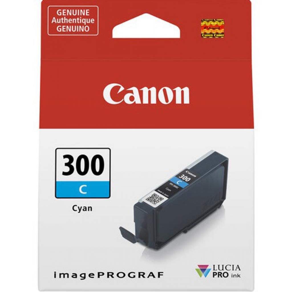Картридж Canon PFI-300 Grey (4200C001) изображение 3