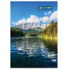 Канцелярская книга Buromax А4, 96 л., Клетка, твердая ламинированная обложка (BM.2430) изображение 3