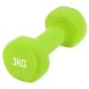 Гантель PowerPlay 4125 Achilles 3 кг Зелена (PP_4125_3kg)