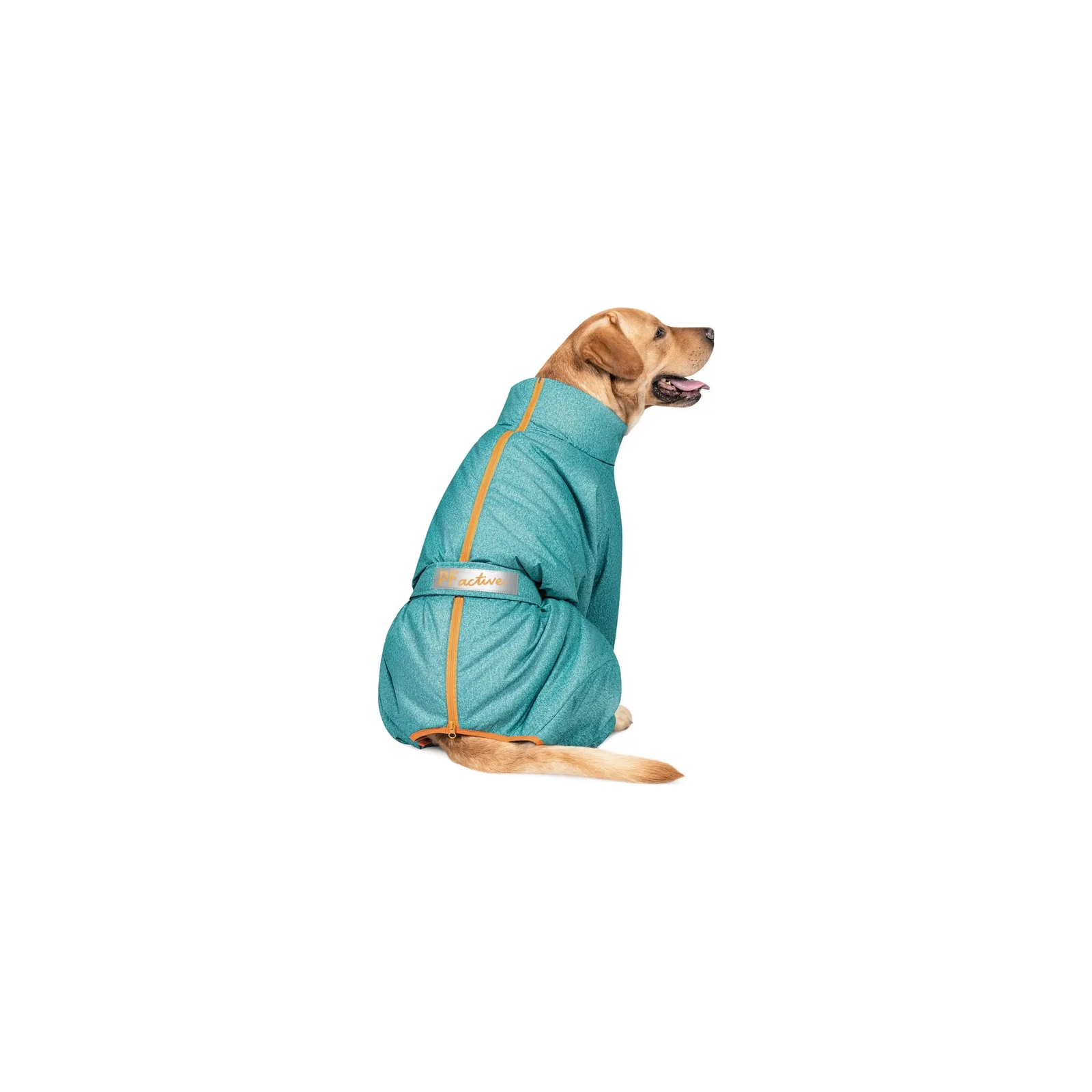 Комбінезон для тварин Pet Fashion «Cold» для такс XS (бірюзовий) (4823082425365) зображення 2