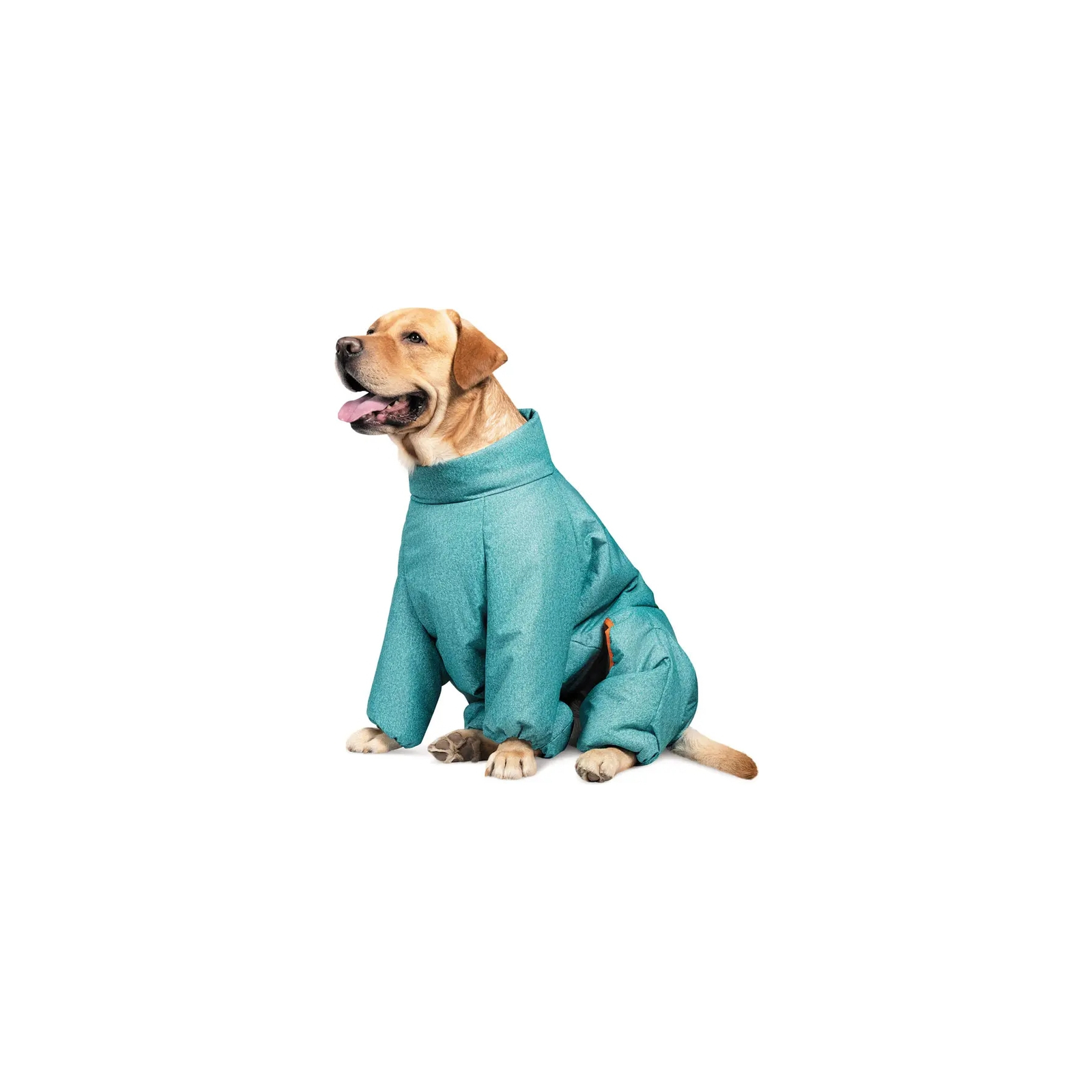 Комбинезон для животных Pet Fashion «Cold» для такс XS (бирюзовый) (4823082425365)