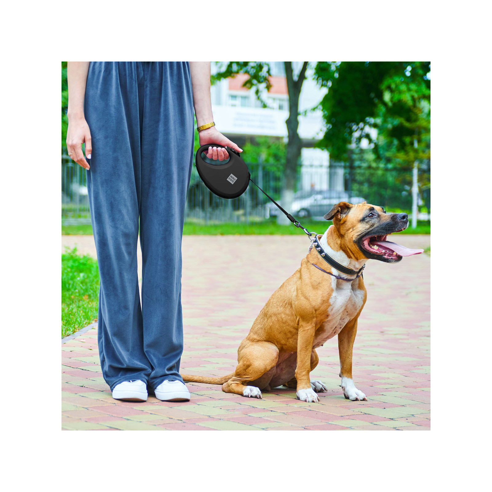 Повідок для собак WAUDOG R-leash з контейнером для пакетів S до 12 кг 3 м фіолетовий (26279) зображення 7
