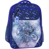 Рюкзак школьный Bagland Отличник 20 л. 225 синий 534 (0058070) (41828189)