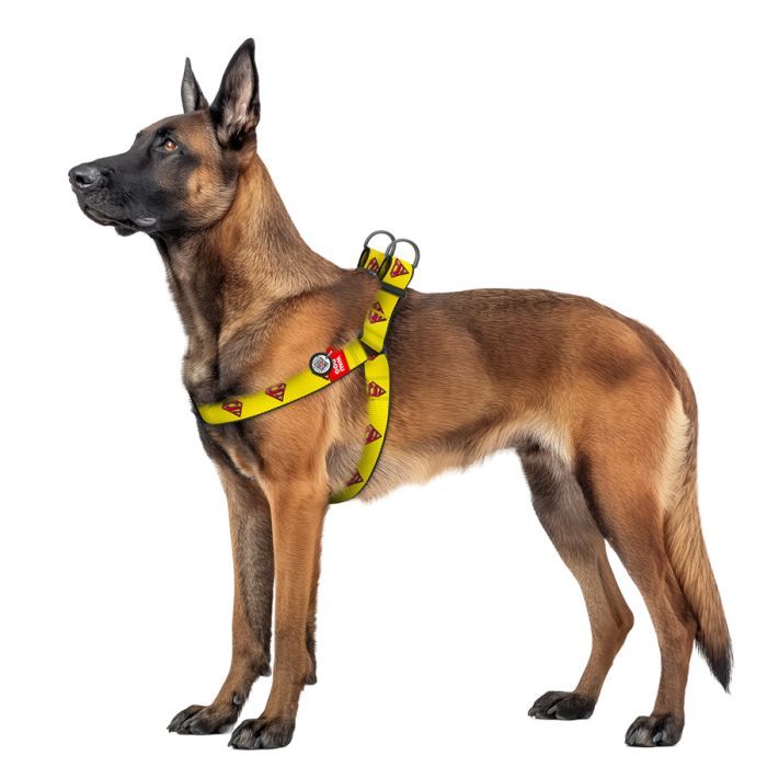Шлея для собак WAUDOG Nylon з QR паспортом "Супермен 2" пластиковий фастекс XL (324-2014) зображення 3