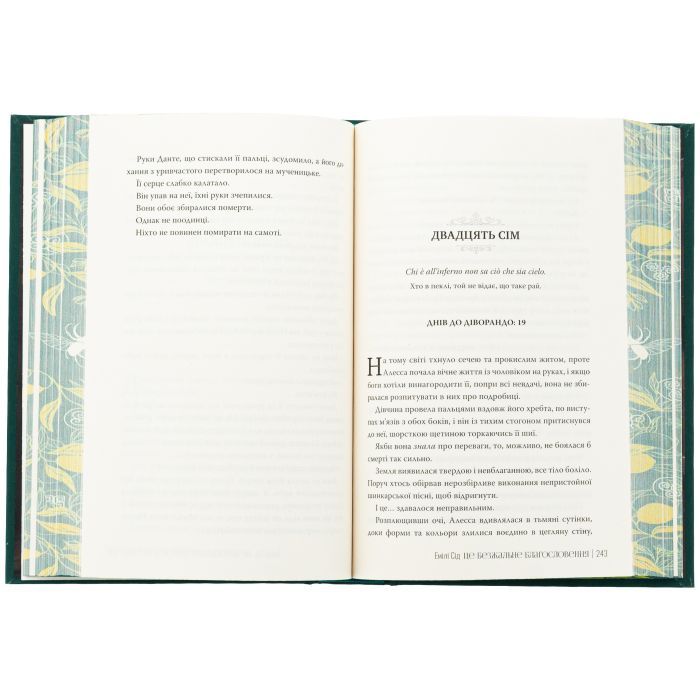 Книга Остання Фінестра. Книга 1: Це безжальне благословення - Емілі Сід Видавництво РМ (9786178373764) изображение 7