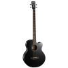 Бас-гитара акустическая Cort AB850F Black
