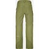 Штани Ortovox Mesola Pants Mns wild herbs - L (025.001.0982) зображення 2