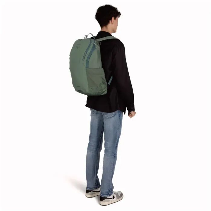 Рюкзак туристический Osprey Astronova pine leaf green - O/S - зелений (009.3939) изображение 4