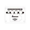 Гитара электроакустическая Ibanez AEWC621 BOT (236714) изображение 12