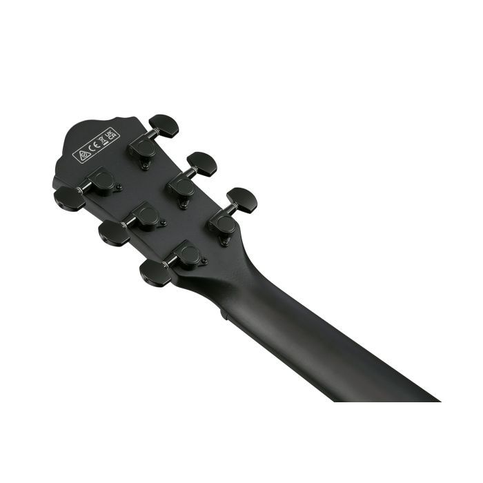 Гитара электроакустическая Ibanez AEWC621 BOT (236714) изображение 9