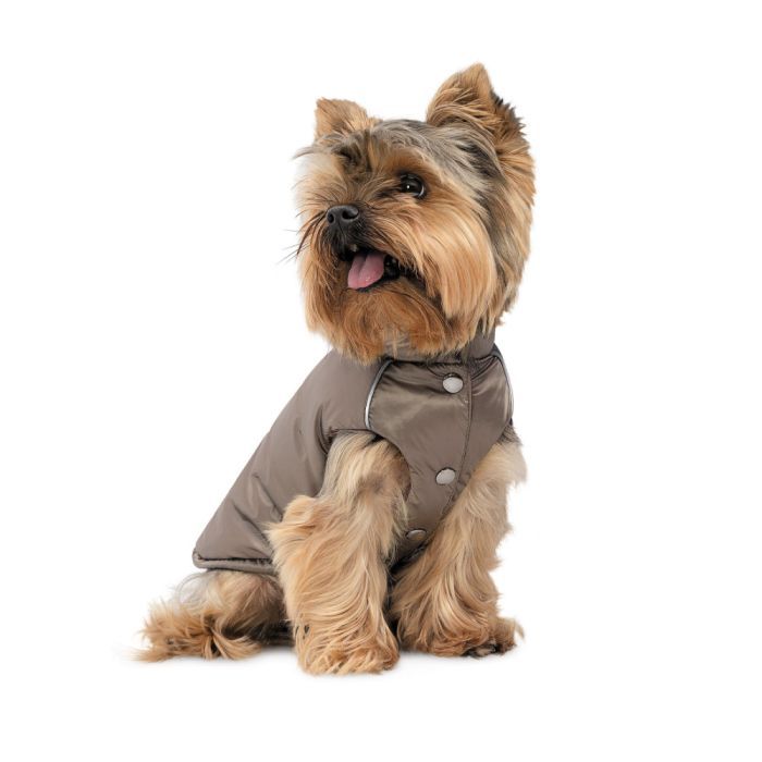Жилет для тварин Pet Fashion Hardy S2 (4823082437504) зображення 2