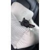 Автомобильное кресло для животных Chloe's Home Berlin M/L 65х45 см бежевое (CLH4906) изображение 2