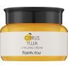 Крем для лица FarmStay Citrus Yuja Vitalizing Cream 100 г (8809035144947) изображение 2