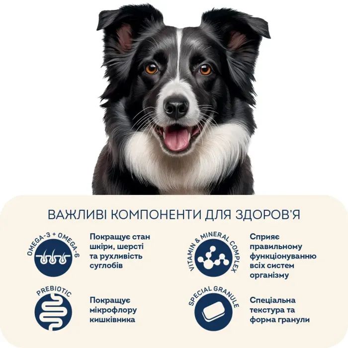 Сухий корм для собак Home Food ADULT MEDIUM/MAXI For active adult and junior dogs з ягням та рисом 300 г (4820290090279) зображення 5