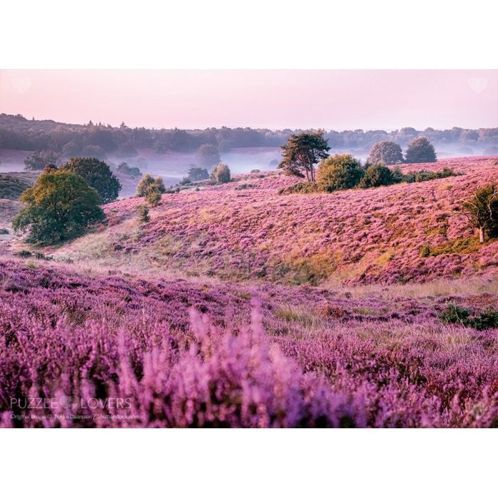 Пазл Tactic Болота, покрытые вереском, 1000 элементов (56750) изображение 2