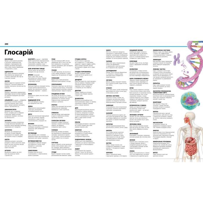 Книга Енциклопедія знань. Тіло людини - Філіп Базеліс, Пітер Крісп, Стів Хоффман Ранок (9786170993953) изображение 11