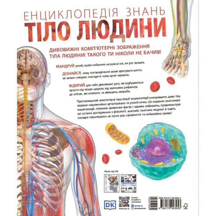 Книга Енциклопедія знань. Тіло людини - Філіп Базеліс, Пітер Крісп, Стів Хоффман Ранок (9786170993953) изображение 12