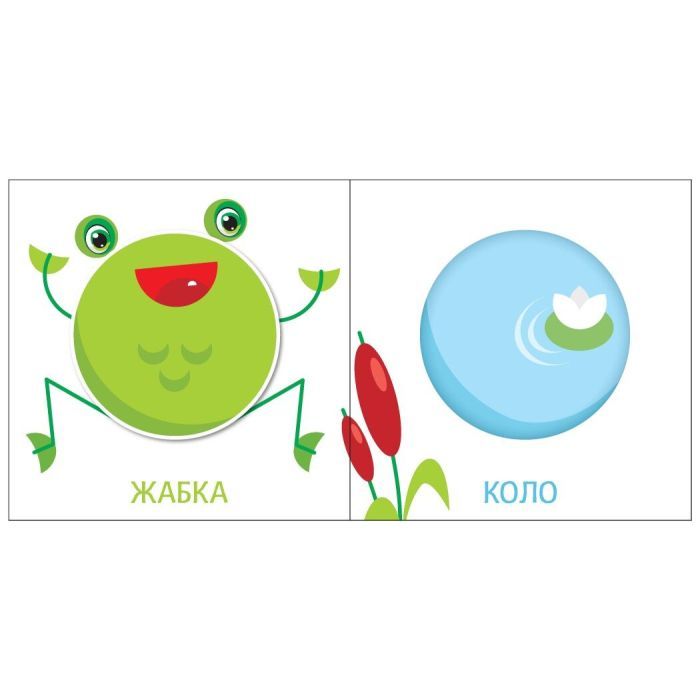 Книга Яскравий світ. Форми Ранок (9789667511463) зображення 2