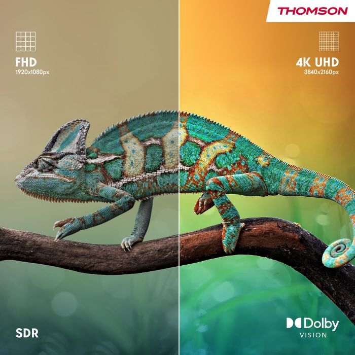 Телевізор THOMSON 43MG7C15 зображення 5