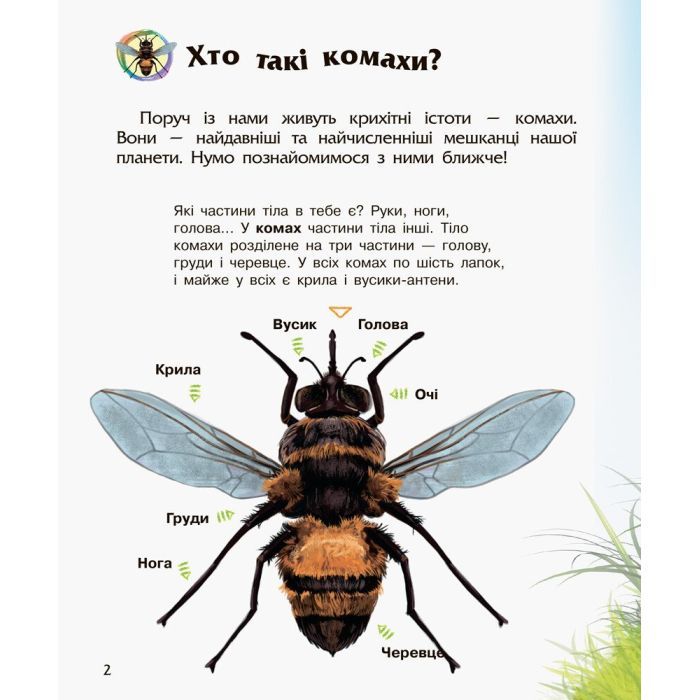 Книга Комахи. Енциклопедія дошкільника - Ю.В. Каспарова Ранок (9786170937292) изображение 3