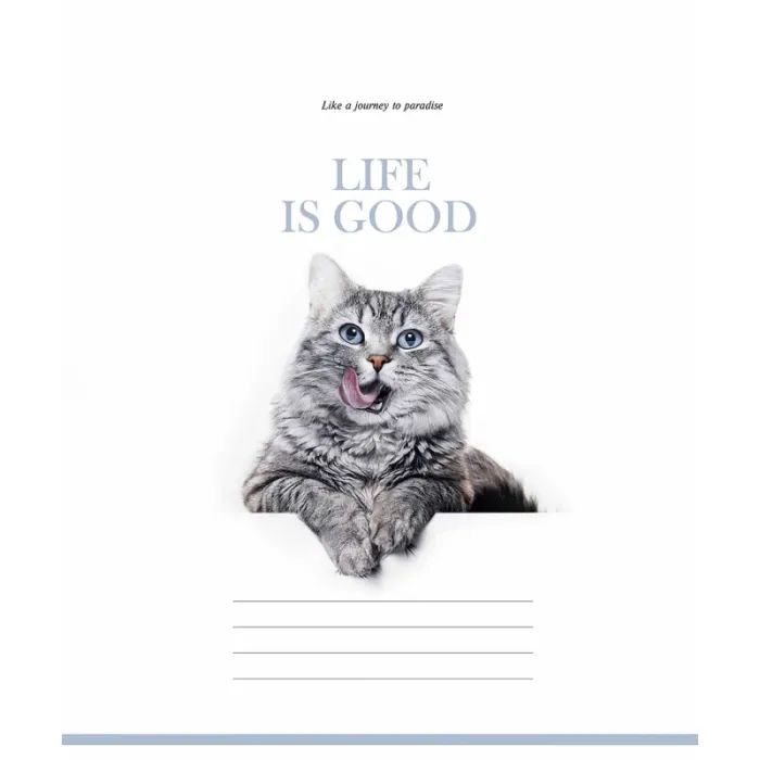 Зошит Школярик Life is good 60 аркушів клітинка (060-3670K) зображення 4