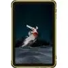 Планшет Ulefone Rugking Pad 2 Pro 10.1" 8/128Gb 4G NFC Yellow (6975326661829) изображение 2