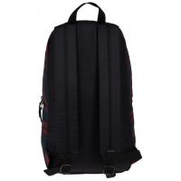Рюкзак туристический Dakine Manual 20L Ruins 8130-037 (610934902044) изображение 2