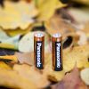 Батарейка Panasonic LR06 Alkaline Power * 10 (LR6REB/10BW) изображение 2
