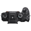 Цифровой фотоаппарат Sony Alpha 9 body black (ILCE9.CEC) изображение 3